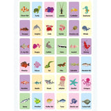 AKDC Ocean Fishs Flashcards, Early Education Awareness, 36 Cards - Al Kabayel Discount CentreAKDC Ocean Fishs Flashcards, Early Education Awareness, 36 CardsEducational ToysAKDCAl Kabayel Discount Centre