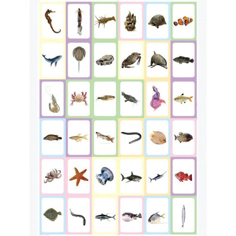 AKDC Ocean Fishs Flashcards, Early Education Awareness, 36 Cards - Al Kabayel Discount CentreAKDC Ocean Fishs Flashcards, Early Education Awareness, 36 CardsEducational ToysAKDCAl Kabayel Discount Centre