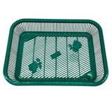AKDC Plastic Fruit Tray Kitchen Counter Polypropylene Fruit Holder Modern - 35cmX26cmX6cm - Green - Al Kabayel Discount CentreAKDC Plastic Fruit Tray Kitchen Counter Polypropylene Fruit Holder Modern - 35cmX26cmX6cm - GreenOrganizers & AccessoriesAKDCAl Kabayel Discount Centre