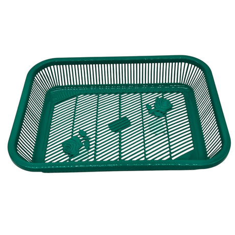 AKDC Plastic Fruit Tray Kitchen Counter Polypropylene Fruit Holder Modern - 35cmX26cmX6cm - Green - Al Kabayel Discount CentreAKDC Plastic Fruit Tray Kitchen Counter Polypropylene Fruit Holder Modern - 35cmX26cmX6cm - GreenOrganizers & AccessoriesAKDCAl Kabayel Discount Centre