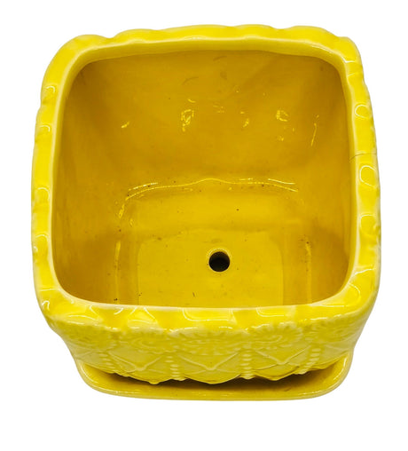 AKDC Square Ceramic Planter Pot 10cm*18cm, Yellow - Al Kabayel Discount CentreAKDC Square Ceramic Planter Pot 10cm*18cm, YellowHome Décor AccentsAKDCAl Kabayel Discount Centre