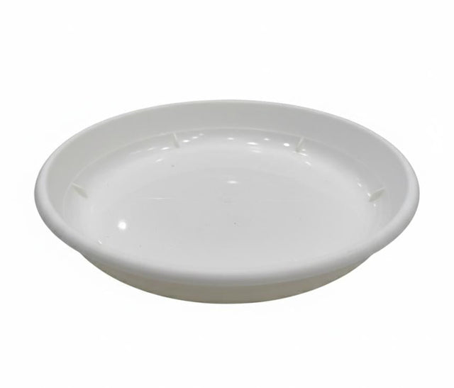 AKDC White Plastic Plant Pot Plate – Round Water Collection Tray – 22 cm - Al Kabayel Discount CentreAKDC White Plastic Plant Pot Plate – Round Water Collection Tray – 22 cmFlower/Plant PotsAKDCAl Kabayel Discount Centre