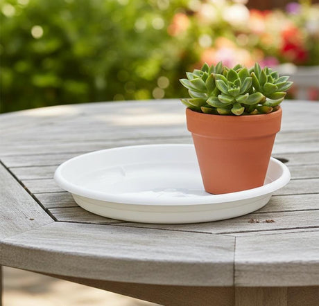 AKDC White Plastic Plant Pot Plate – Round Water Collection Tray – 22 cm - Al Kabayel Discount CentreAKDC White Plastic Plant Pot Plate – Round Water Collection Tray – 22 cmFlower/Plant PotsAKDCAl Kabayel Discount Centre