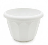 AKDC White Plastic Plant Pot – Tall Modern Garden Planter – 18×24 cm - Al Kabayel Discount CentreAKDC White Plastic Plant Pot – Tall Modern Garden Planter – 18×24 cmFlower/Plant PotsAKDCAl Kabayel Discount Centre