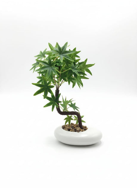 AKDC Zen Bonsai Artificial Bonsai Tree – Decorative 38 cm Design with Ceramic Pot – Natural Look Plastic Structure - Al Kabayel Discount CentreAKDC Zen Bonsai Artificial Bonsai Tree – Decorative 38 cm Design with Ceramic Pot – Natural Look Plastic StructureArtificial FloraAKDCAl Kabayel Discount Centre