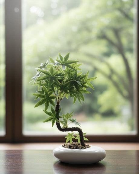 AKDC Zen Bonsai Artificial Bonsai Tree – Decorative 38 cm Design with Ceramic Pot – Natural Look Plastic Structure - Al Kabayel Discount CentreAKDC Zen Bonsai Artificial Bonsai Tree – Decorative 38 cm Design with Ceramic Pot – Natural Look Plastic StructureArtificial FloraAKDCAl Kabayel Discount Centre