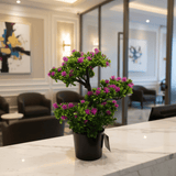 Artificial Bonsai Tree with Purple Blooms — 35cm | Black Vase | Premium Home Décor - Al Kabayel Discount CentreArtificial Bonsai Tree with Purple Blooms — 35cm | Black Vase | Premium Home DécorArtificial FloraAKDCAl Kabayel Discount Centre