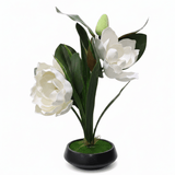 Artificial Flower Plant with Black Ceramic Pot - 40×14cm - Yellow / Red / White / Pink - Al Kabayel Discount CentreArtificial Flower Plant with Black Ceramic Pot - 40×14cm - Yellow / Red / White / PinkArtificial FloraAKDCAl Kabayel Discount Centre