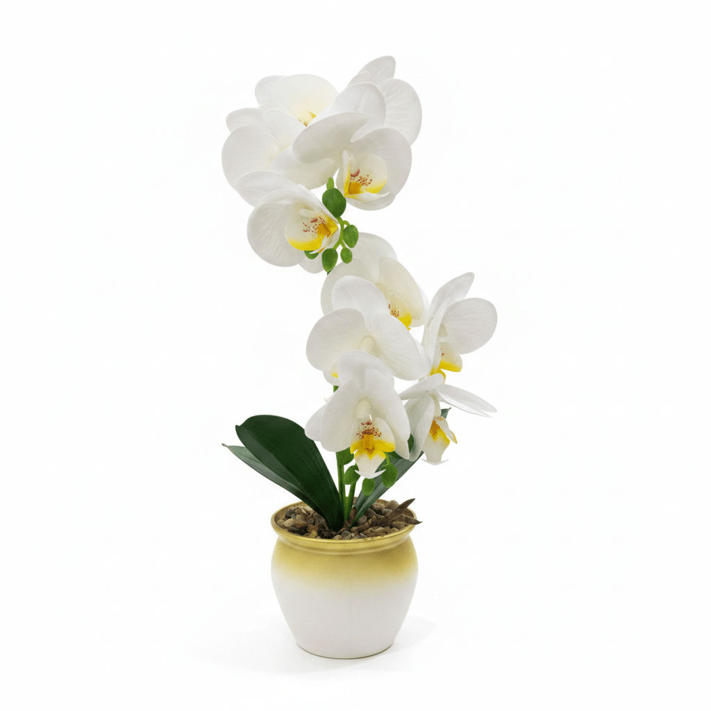 Artificial Phalaenopsis Orchid Plant in Plastic Pot - 36cm - White / Orange / Purple / Coral - Al Kabayel Discount CentreArtificial Phalaenopsis Orchid Plant in Plastic Pot - 36cm - White / Orange / Purple / CoralArtificial FloraAKDCAl Kabayel Discount Centre