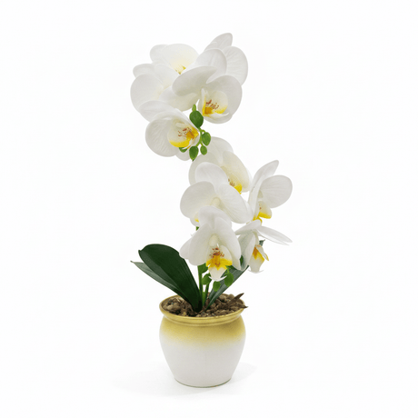 Artificial Phalaenopsis Orchid Plant in Plastic Pot - 36cm - White / Orange / Purple / Coral - Al Kabayel Discount CentreArtificial Phalaenopsis Orchid Plant in Plastic Pot - 36cm - White / Orange / Purple / CoralArtificial FloraAKDCAl Kabayel Discount Centre
