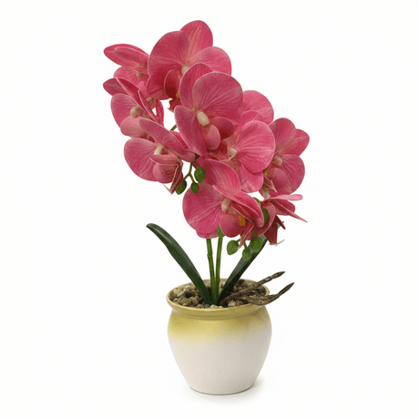 Artificial Phalaenopsis Orchid Plant in Plastic Pot - 36cm - White / Orange / Purple / Coral - Al Kabayel Discount CentreArtificial Phalaenopsis Orchid Plant in Plastic Pot - 36cm - White / Orange / Purple / CoralArtificial FloraAKDCAl Kabayel Discount Centre