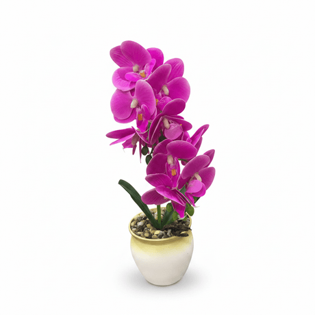 Artificial Phalaenopsis Orchid Plant in Plastic Pot - 36cm - White / Orange / Purple / Coral - Al Kabayel Discount CentreArtificial Phalaenopsis Orchid Plant in Plastic Pot - 36cm - White / Orange / Purple / CoralArtificial FloraAKDCAl Kabayel Discount Centre