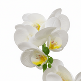 Artificial Phalaenopsis Orchid Plant in Plastic Pot - 36cm - White / Orange / Purple / Coral - Al Kabayel Discount CentreArtificial Phalaenopsis Orchid Plant in Plastic Pot - 36cm - White / Orange / Purple / CoralArtificial FloraAKDCAl Kabayel Discount Centre