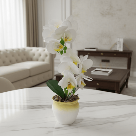 Artificial Phalaenopsis Orchid Plant in Plastic Pot - 36cm - White / Orange / Purple / Coral - Al Kabayel Discount CentreArtificial Phalaenopsis Orchid Plant in Plastic Pot - 36cm - White / Orange / Purple / CoralArtificial FloraAKDCAl Kabayel Discount Centre