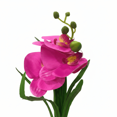 Artificial Pink Orchid Flower Plant in Chalk Pot - 35cm - Al Kabayel Discount CentreArtificial Pink Orchid Flower Plant in Chalk Pot - 35cmArtificial FloraAKDCAl Kabayel Discount Centre