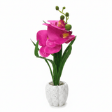Artificial Pink Orchid Flower Plant in Chalk Pot - 35cm - Al Kabayel Discount CentreArtificial Pink Orchid Flower Plant in Chalk Pot - 35cmArtificial FloraAKDCAl Kabayel Discount Centre