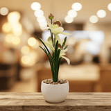Artificial White Orchid Flower Arrangement – White Ceramic Pot | 25cm - Al Kabayel Discount CentreArtificial White Orchid Flower Arrangement – White Ceramic Pot | 25cmArtificial FloraAKDCAl Kabayel Discount Centre