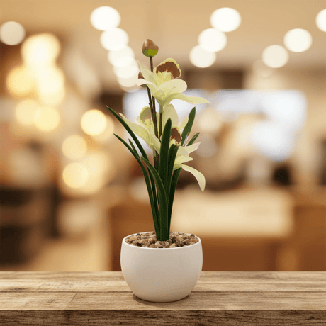 Artificial White Orchid Flower Arrangement – White Ceramic Pot | 25cm - Al Kabayel Discount CentreArtificial White Orchid Flower Arrangement – White Ceramic Pot | 25cmArtificial FloraAKDCAl Kabayel Discount Centre
