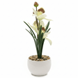 Artificial White Orchid Flower Arrangement – White Ceramic Pot | 25cm - Al Kabayel Discount CentreArtificial White Orchid Flower Arrangement – White Ceramic Pot | 25cmArtificial FloraAKDCAl Kabayel Discount Centre