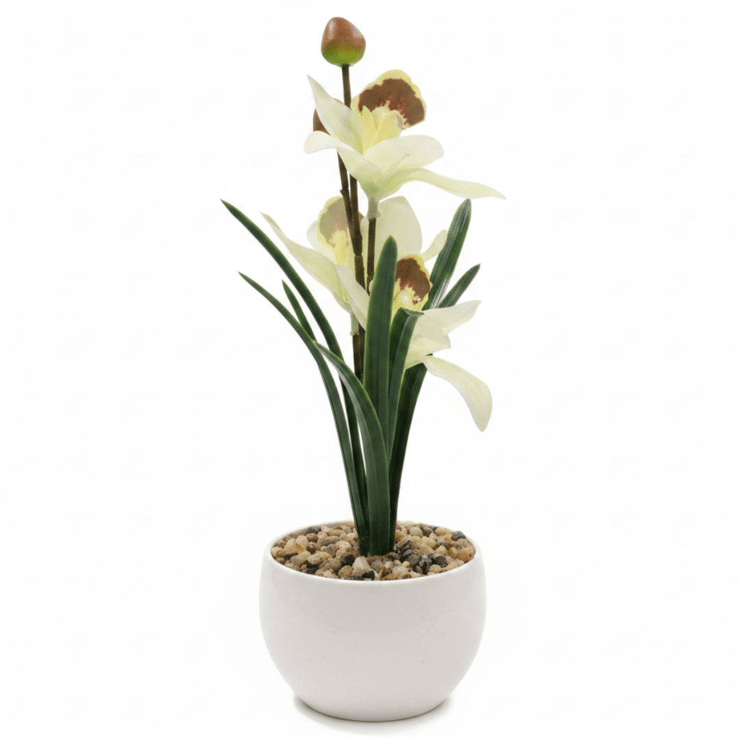 Artificial White Orchid Flower Arrangement – White Ceramic Pot | 25cm - Al Kabayel Discount CentreArtificial White Orchid Flower Arrangement – White Ceramic Pot | 25cmArtificial FloraAKDCAl Kabayel Discount Centre