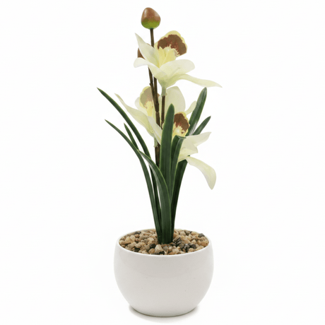 Artificial White Orchid Flower Arrangement – White Ceramic Pot | 25cm - Al Kabayel Discount CentreArtificial White Orchid Flower Arrangement – White Ceramic Pot | 25cmArtificial FloraAKDCAl Kabayel Discount Centre