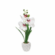 Artificial White Orchid Plant in Chalk Speckled Pot - 35cm - Al Kabayel Discount CentreArtificial White Orchid Plant in Chalk Speckled Pot - 35cmArtificial FloraAKDCAl Kabayel Discount Centre