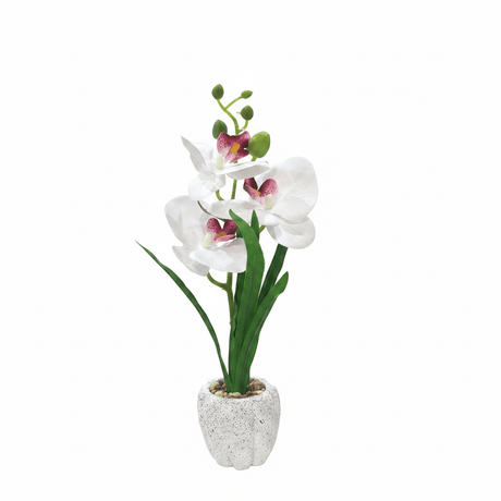 Artificial White Orchid Plant in Chalk Speckled Pot - 35cm - Al Kabayel Discount CentreArtificial White Orchid Plant in Chalk Speckled Pot - 35cmArtificial FloraAKDCAl Kabayel Discount Centre