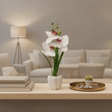 Artificial White Orchid Plant in Chalk Speckled Pot - 35cm - Al Kabayel Discount CentreArtificial White Orchid Plant in Chalk Speckled Pot - 35cmArtificial FloraAKDCAl Kabayel Discount Centre