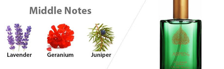 Aspen Cologne Spray, Vegan Formula, Cologne Spray, Woody Spicy Scent, 118 ml (4oz) - Al Kabayel Discount CentreAspen Cologne Spray, Vegan Formula, Cologne Spray, Woody Spicy Scent, 118 ml (4oz)PerfumesASPENAl Kabayel Discount Centre