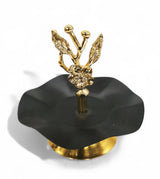 Baykar 1 Tier Dates Plate Golden Black 12Cm - Al Kabayel Discount CentreBaykar 1 Tier Dates Plate Golden Black 12CmHome Décor AccentsAKDCAl Kabayel Discount Centre