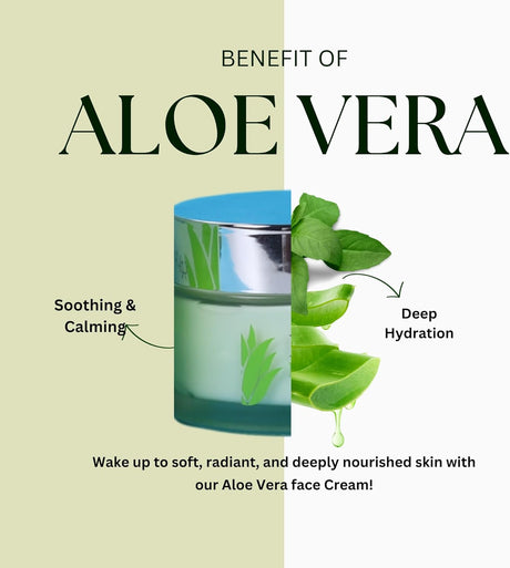 BBROSE Aloe Vera Moisturizing Face Cream - Hydrating, Soothing & Lightweight, Nourishing Skin Care Paraben - Free, Non - Greasy Formula for Daily Use - 50ML - Al Kabayel Discount CentreBBROSE Aloe Vera Moisturizing Face Cream - Hydrating, Soothing & Lightweight, Nourishing Skin Care Paraben - Free, Non - Greasy Formula for Daily Use - 50MLSkin CareBBROSEAl Kabayel Discount Centre