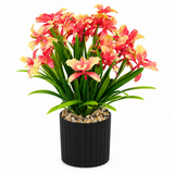 Zeem Artificial Flower Plant in Black Plastic Pot - 28cm