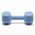 Blue Plastic Coated 2KG Dumbbell — Lightweight Home Fitness Weight - Al Kabayel Discount CentreBlue Plastic Coated 2KG Dumbbell — Lightweight Home Fitness WeightSportsAKDCAl Kabayel Discount Centre