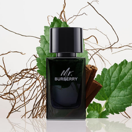 Burberry Mr. EDP for Men - 100ml - Al Kabayel Discount CentreBurberry Mr. EDP for Men - 100mlPerfumesBURBERRYAl Kabayel Discount Centre