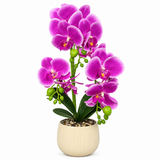 Artificial Orchid Flower Plant with Ceramic Pot Purple - 40cm