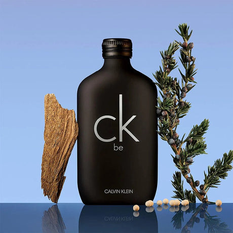 Calvin Klein Be EDT Perfume for Unisex - 100ml - Al Kabayel Discount CentreCalvin Klein Be EDT Perfume for Unisex - 100mlPerfumesCALVIN KLEINAl Kabayel Discount Centre
