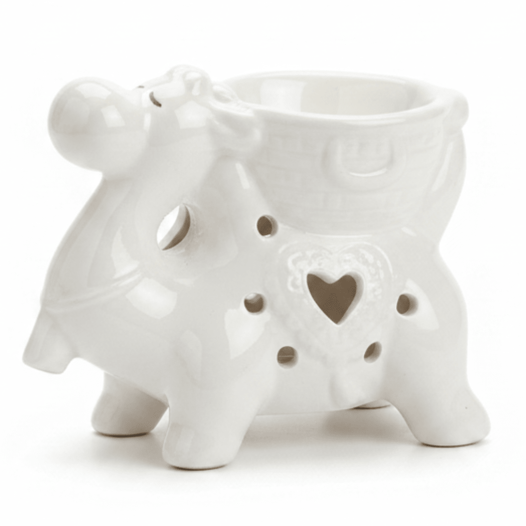 Camel Shape Ceramic Oil Burner 10×8 cm - White / Sage Green - Al Kabayel Discount CentreCamel Shape Ceramic Oil Burner 10×8 cm - White / Sage GreenHome Décor AccentsAKDCAl Kabayel Discount Centre
