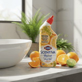 Clorox Scentiva Toilet Cleaner Madagascar Citrus Grove - 709ml - Al Kabayel Discount CentreClorox Scentiva Toilet Cleaner Madagascar Citrus Grove - 709mlHousehold CleaningCLOROXAl Kabayel Discount Centre