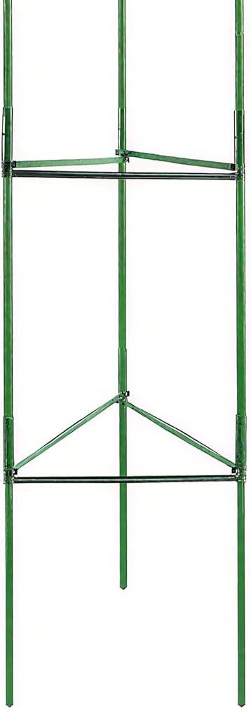 Colorfulyard Plant Support Sticks 120cm, for Climbing Plants, Support Flowers - Green - Al Kabayel Discount CentreColorfulyard Plant Support Sticks 120cm, for Climbing Plants, Support Flowers - GreenGardening ToolsCOLORFULYARDAl Kabayel Discount Centre