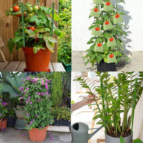Colorfulyard Plant Support Sticks with Ring, for Climbing Plants, Support Flowers - Green - Al Kabayel Discount CentreColorfulyard Plant Support Sticks with Ring, for Climbing Plants, Support Flowers - GreenGardening ToolsCOLORFULYARDAl Kabayel Discount Centre