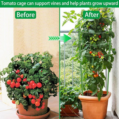 Colorfulyard Plant Support Sticks with Ring, for Climbing Plants, Support Flowers - Green - Al Kabayel Discount CentreColorfulyard Plant Support Sticks with Ring, for Climbing Plants, Support Flowers - GreenGardening ToolsCOLORFULYARDAl Kabayel Discount Centre