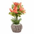 Coral Bloom Artificial Magnolia Plant | Elegant Chalk Pot | 33cm - Al Kabayel Discount CentreCoral Bloom Artificial Magnolia Plant | Elegant Chalk Pot | 33cmArtificial FloraAKDCAl Kabayel Discount Centre