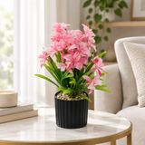 Zeem Artificial Flower Plant in Black Plastic Pot - 28cm