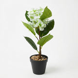 White & Green Artificial Flower Plant with Black Plastic Pot - 45 cm