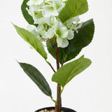 White & Green Artificial Flower Plant with Black Plastic Pot - 45 cm