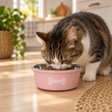 Silicone and Stainless Steel Pet Feeding Bowl Pink - 13.5cm