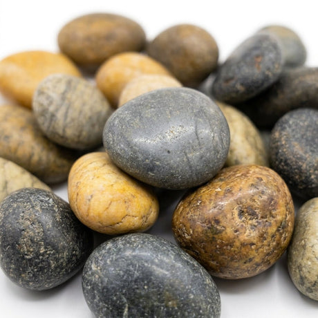Decorative Assorted Pebble Stones – 80g Net Bag - Al Kabayel Discount CentreDecorative Assorted Pebble Stones – 80g Net BagStonesAKDCAl Kabayel Discount Centre