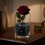 Decorative Black Plastic Stones – 120g Jar - Al Kabayel Discount CentreDecorative Black Plastic Stones – 120g JarStonesAKDCAl Kabayel Discount Centre