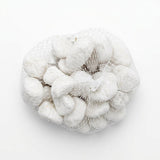 Decorative White Pebble Stones – Net Bag 80g - Al Kabayel Discount CentreDecorative White Pebble Stones – Net Bag 80gStonesAKDCAl Kabayel Discount Centre