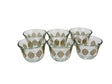 DIMLAJ Glass Cawa Cup 6pcs 90ml, Printed Golden Design - Al Kabayel Discount CentreDIMLAJ Glass Cawa Cup 6pcs 90ml, Printed Golden DesignTea CupsDIMLAJAl Kabayel Discount Centre